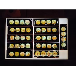 Antikke Laterna Magica billeder i �ske, ca. �r 1900