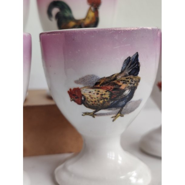 6 lyser�de �ggeb�gre med h�ns og haner