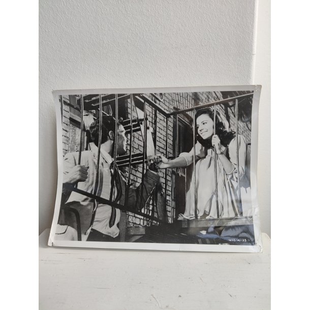 Udh�ngsfoto fra West Side Story, Tony &amp; Maria