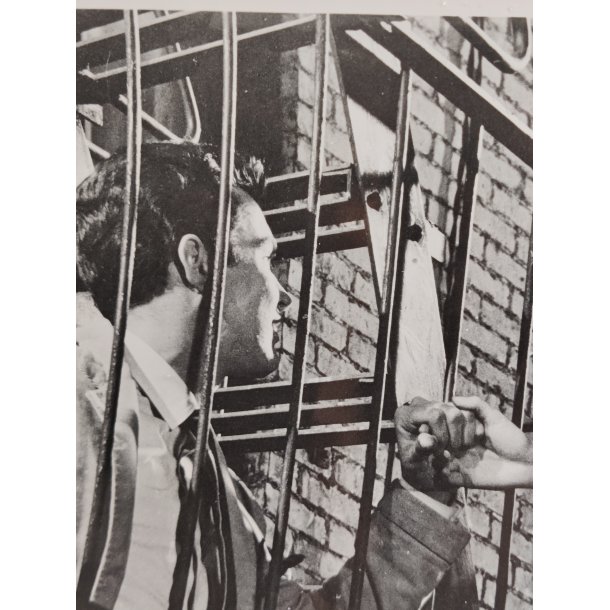 Udh�ngsfoto fra West Side Story, Tony &amp; Maria