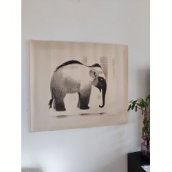 Sikker Hansen: Elefant 1934