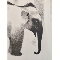 Sikker Hansen: Elefant 1934