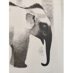 Sikker Hansen: Elefant 1934