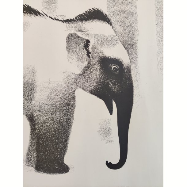 Sikker Hansen: Elefant 1934