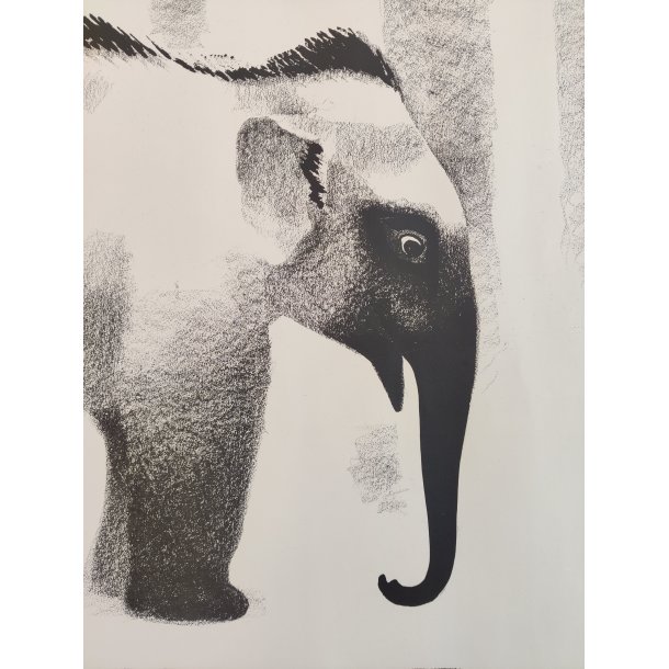 Sikker Hansen: Elefant 1934