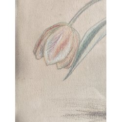 Org.tegning af vase med tulipaner, 1931, oliekridt