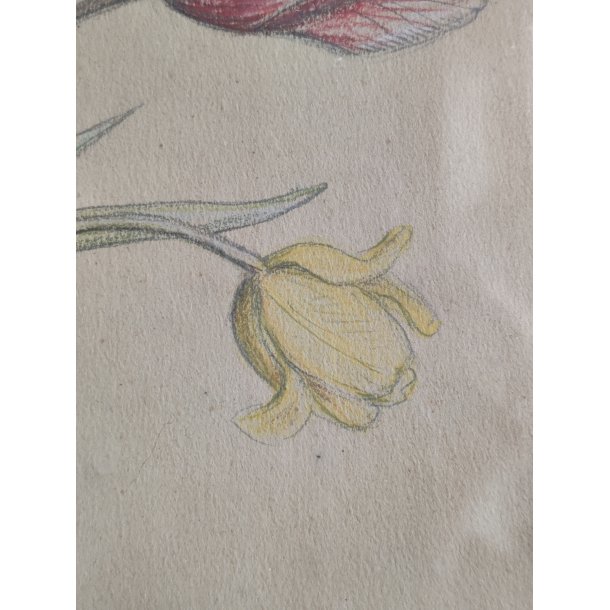 Org.tegning af vase med tulipaner, 1931, oliekridt