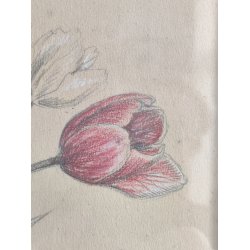 Org.tegning af vase med tulipaner, 1931, oliekridt
