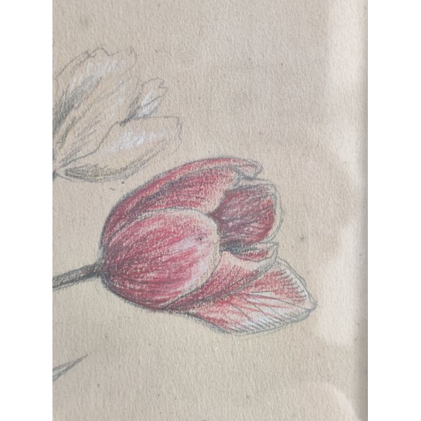 Org.tegning af vase med tulipaner, 1931, oliekridt