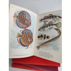 Akvariefisk i farver, Politikens Forlag 1956