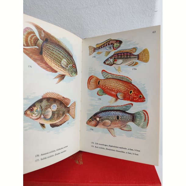 Akvariefisk i farver, Politikens Forlag 1956