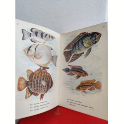 Akvariefisk i farver, Politikens Forlag 1956