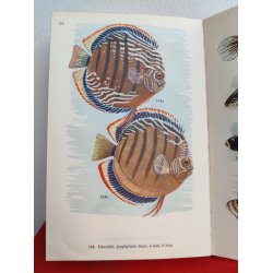Akvariefisk i farver, Politikens Forlag 1956