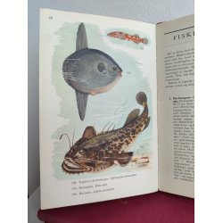 Fisk i farver, Politikens Forlag 1954