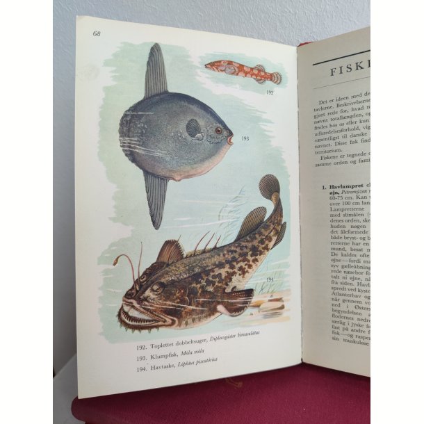 Fisk i farver, Politikens Forlag 1954