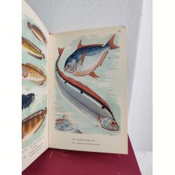 Fisk i farver, Politikens Forlag 1954
