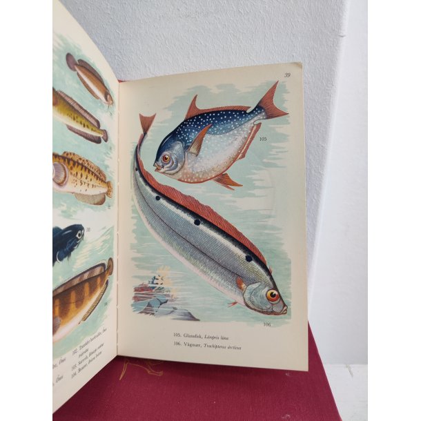 Fisk i farver, Politikens Forlag 1954