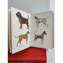 Hunde i farver, Politikens Forlag 1958