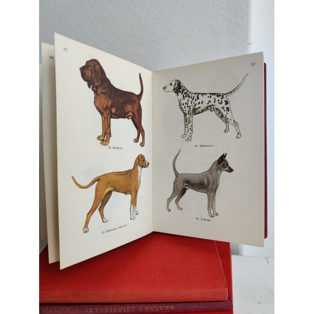 Hunde i farver, Politikens Forlag 1958