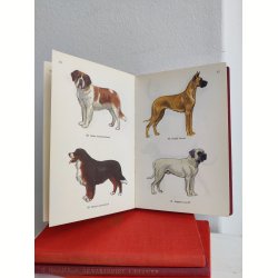 Hunde i farver, Politikens Forlag 1958