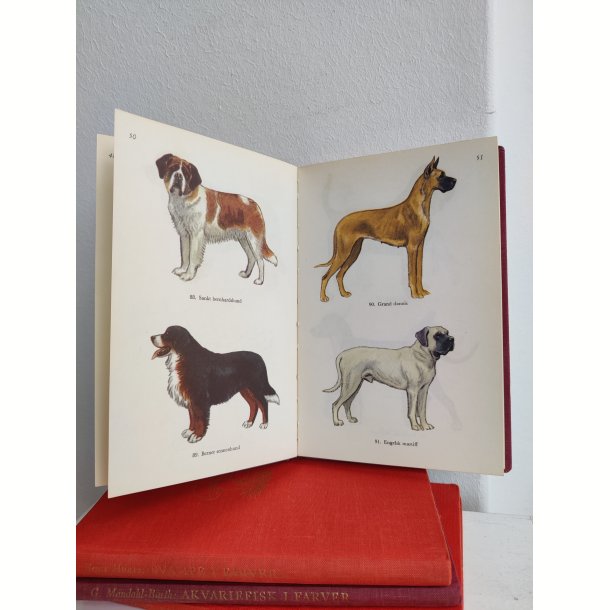 Hunde i farver, Politikens Forlag 1958