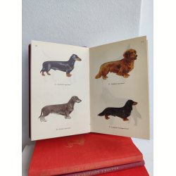 Hunde i farver, Politikens Forlag 1958