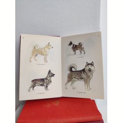 Hunde i farver, Politikens Forlag 1958