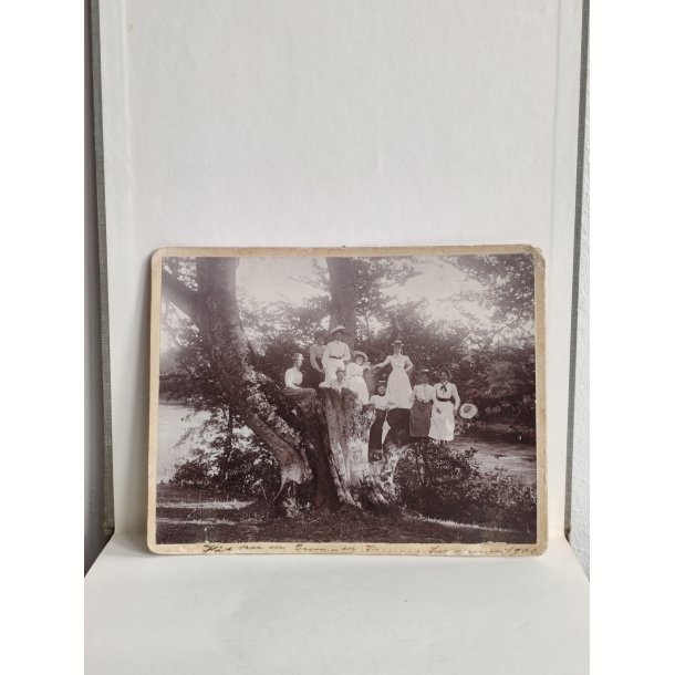 Antikt foto af en gruppe kvinder 1910
