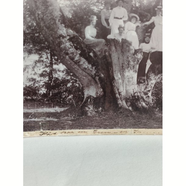 Antikt foto af en gruppe kvinder 1910